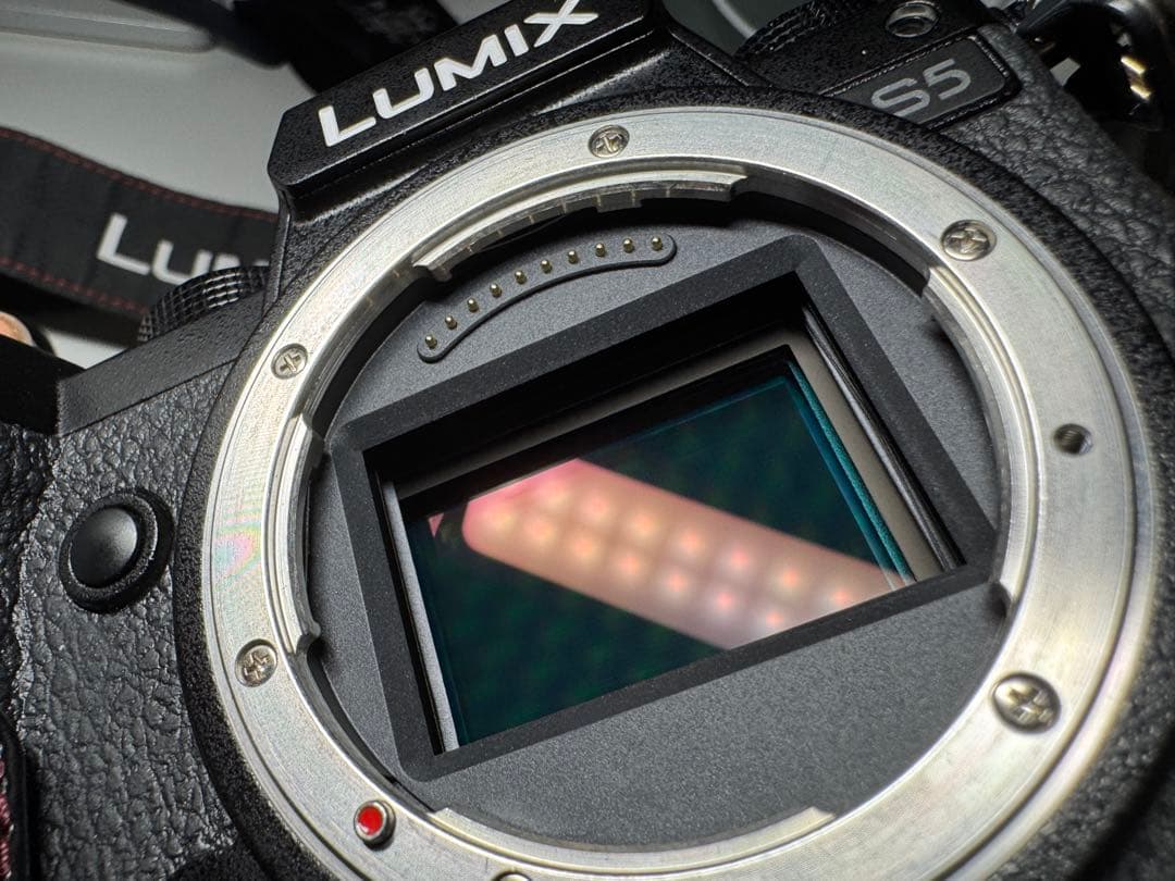 Lumix DC-S5 ミラーレスカメラ 本体 美品