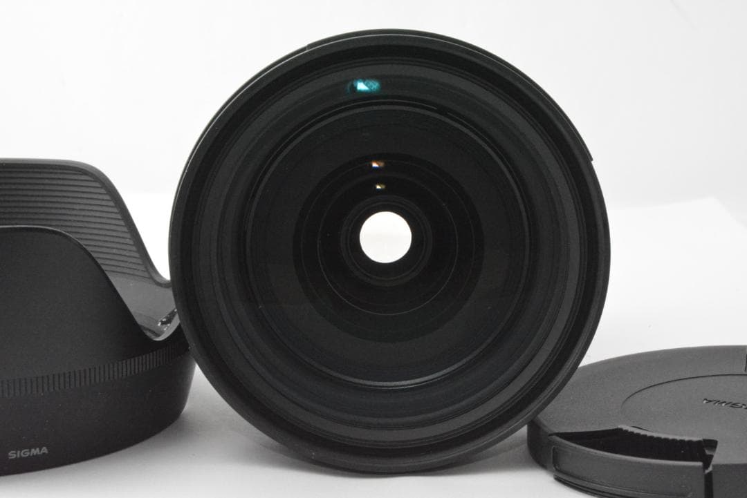 SONY E シグマ SIGMA Art 24-70mm F2.8 DG DN