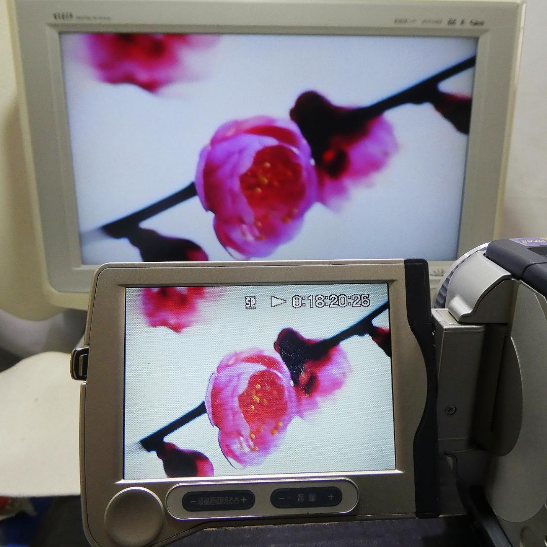 動作品 ソニーDCR-TRV30 MiniDV ビデオカメラDVDダビングに最適