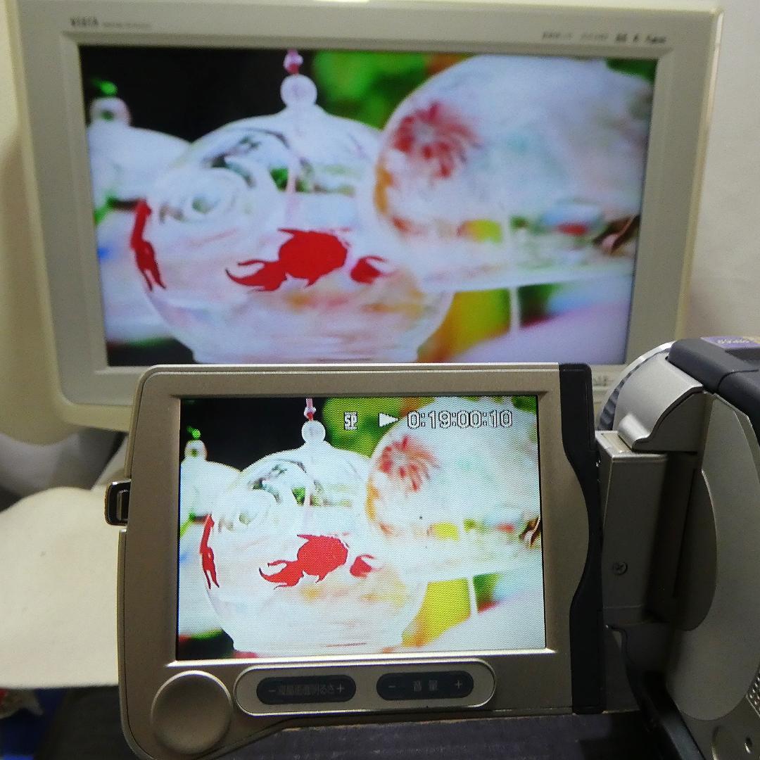 動作品 ソニーDCR-TRV30 MiniDV ビデオカメラDVDダビングに最適