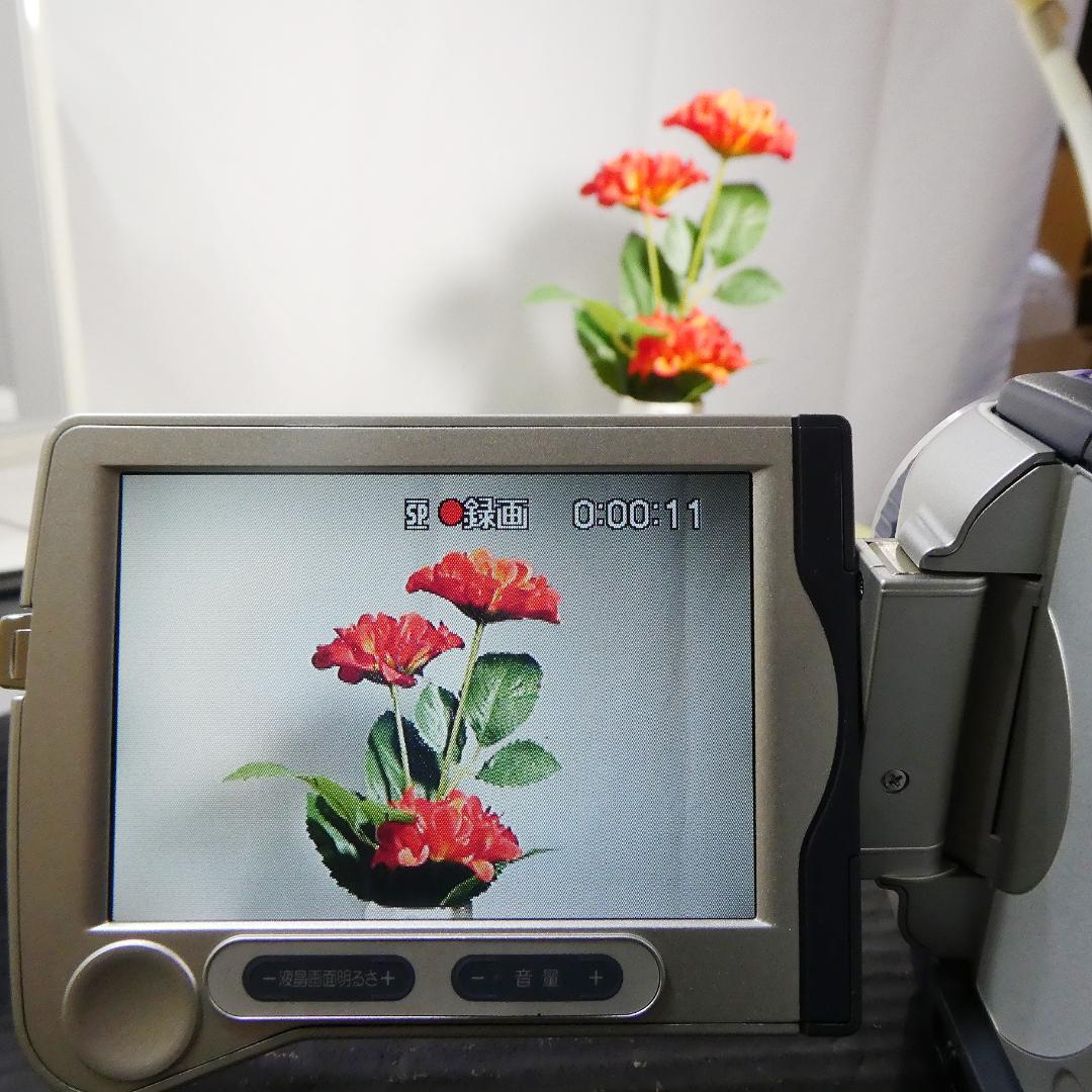 動作品 ソニーDCR-TRV30 MiniDV ビデオカメラDVDダビングに最適