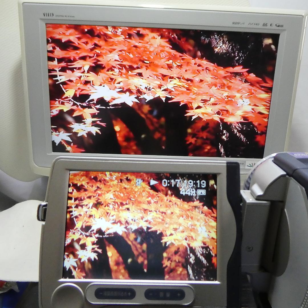 動作品 ソニーDCR-TRV30 MiniDV ビデオカメラDVDダビングに最適