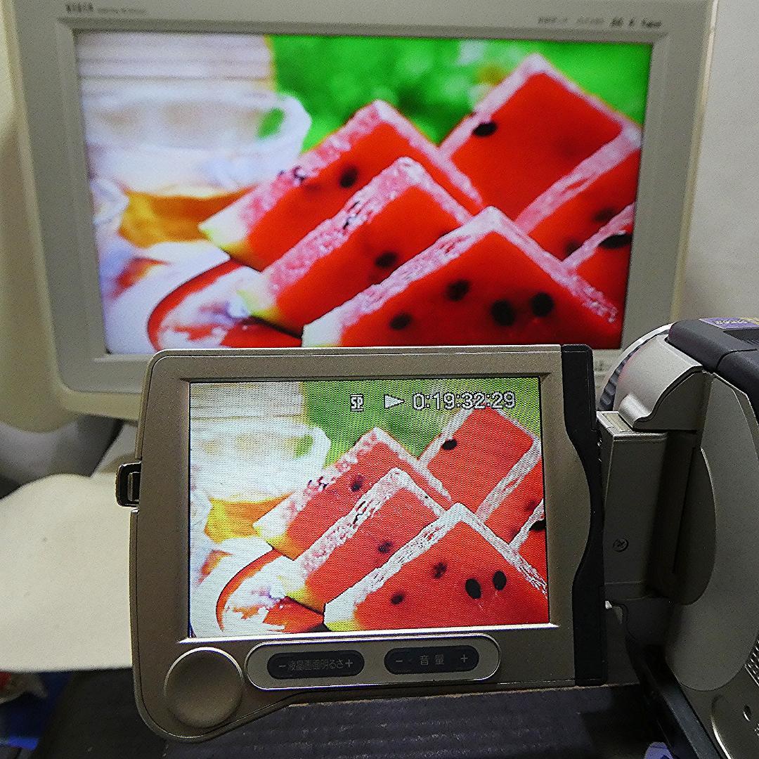 動作品 ソニーDCR-TRV30 MiniDV ビデオカメラDVDダビングに最適