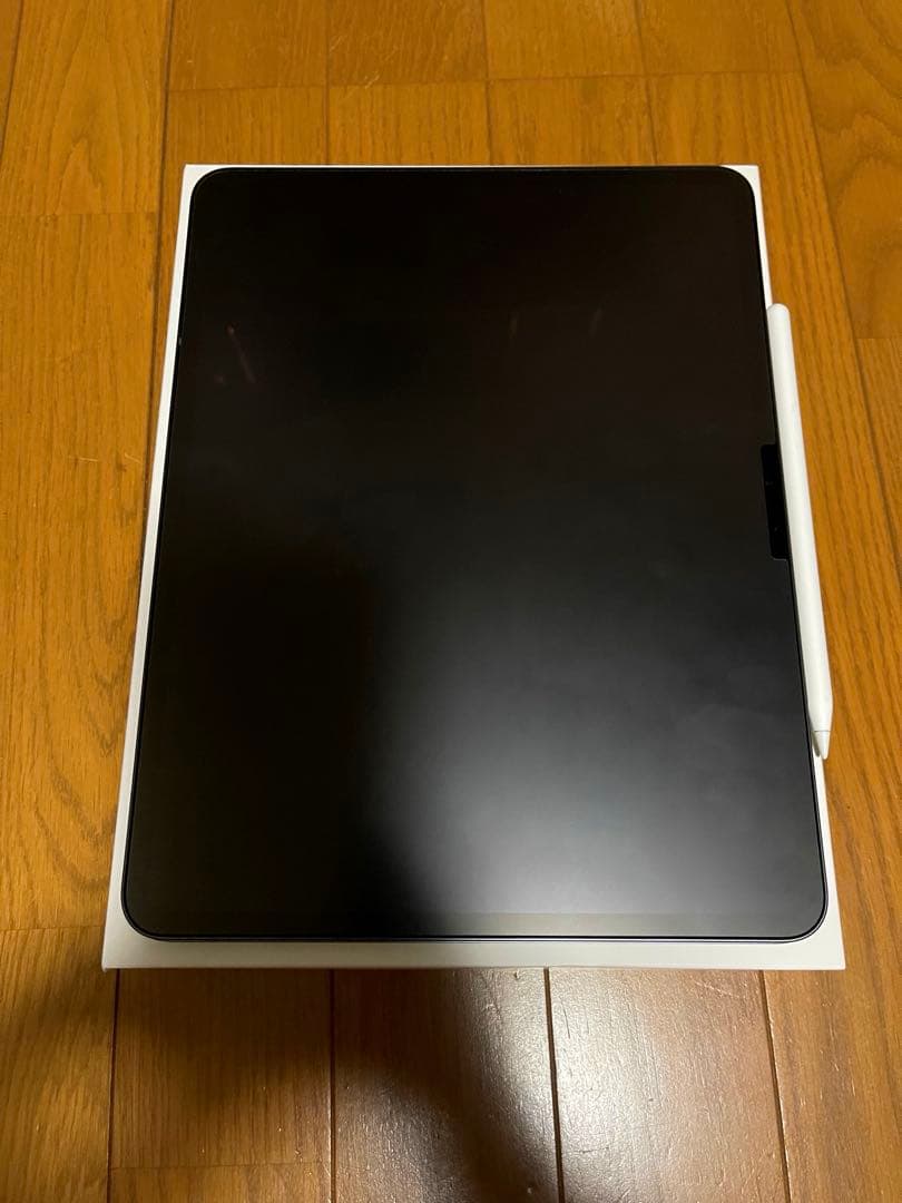 iPad Pro (M4) 13インチ256GBとApplepencil pro