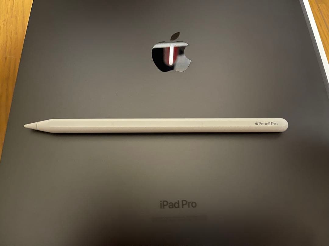 iPad Pro (M4) 13インチ256GBとApplepencil pro