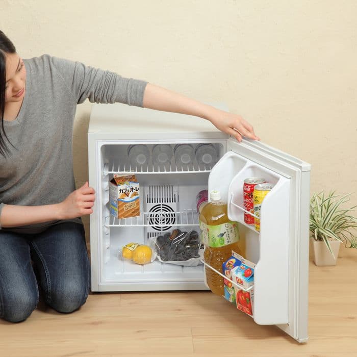 SunRuck 1ドア電子冷蔵庫 ペルチェ方式 小型 48L 除菌清掃済 綺麗