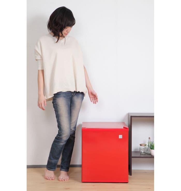 SunRuck 1ドア電子冷蔵庫 ペルチェ方式 小型 48L 除菌清掃済 綺麗