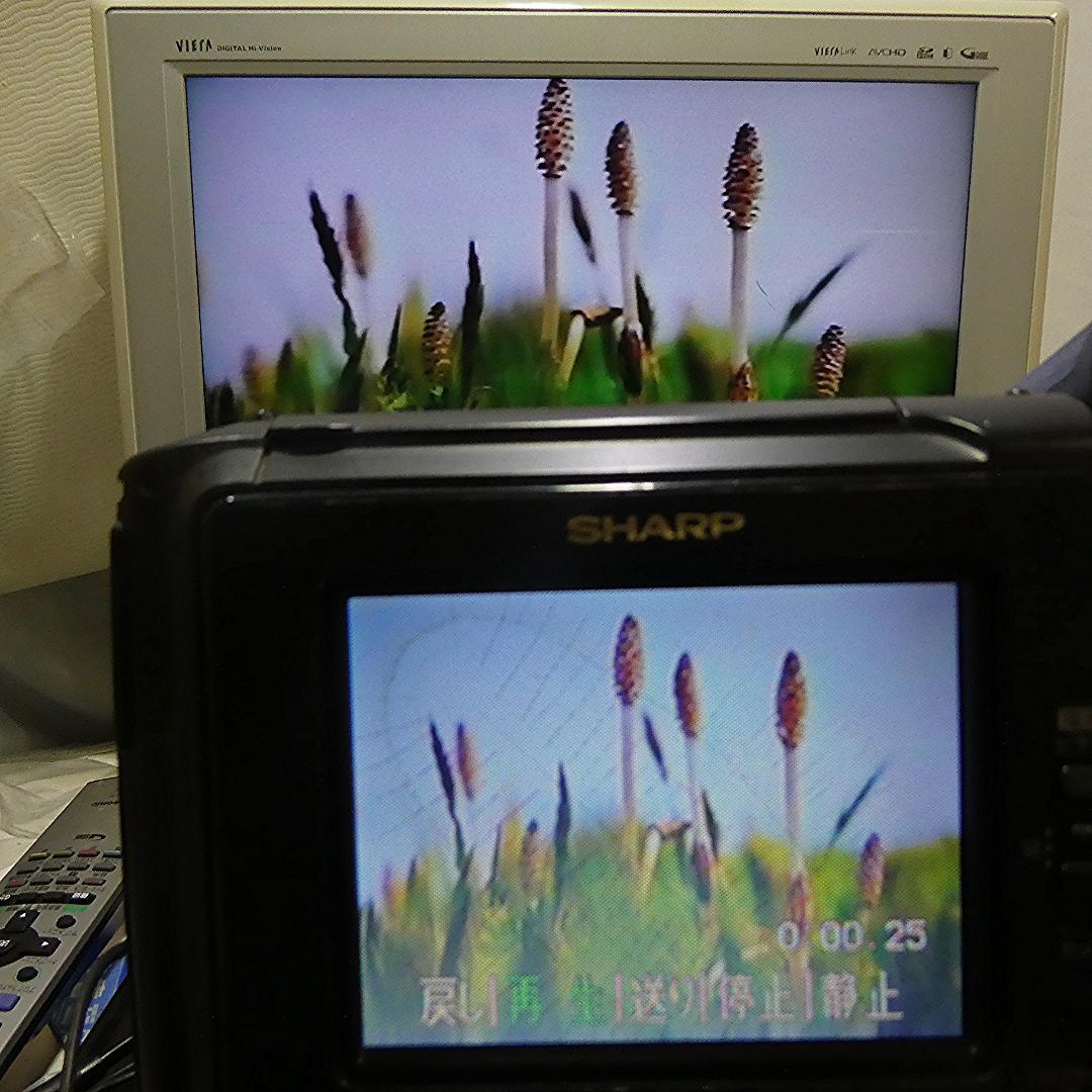 動作良好　Video.Hi8 シャープVL-HL3 8ミリビデオカメラDVD化に