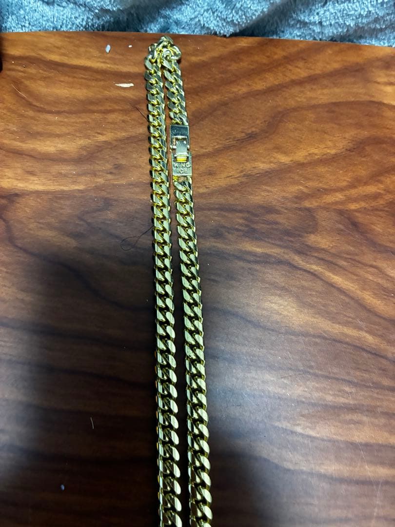 ゲンゴロウ‼️