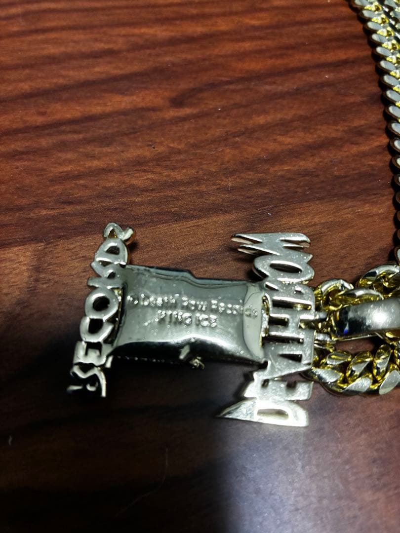 ゲンゴロウ‼️