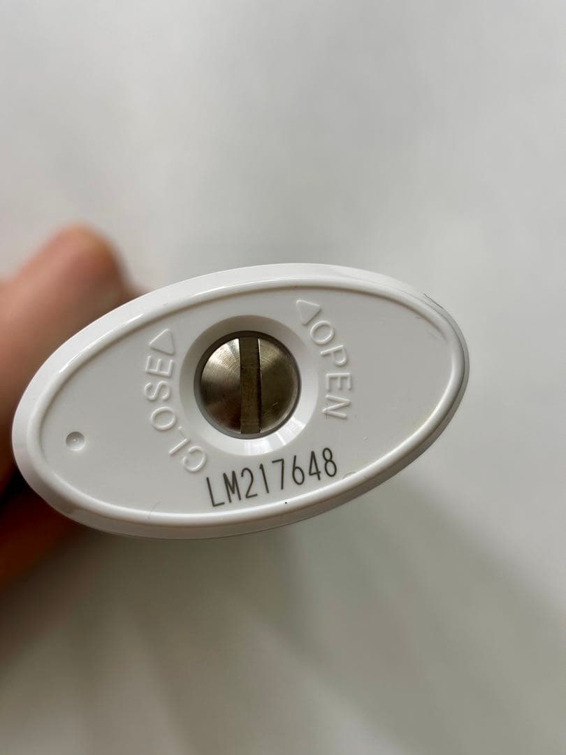 モイスティーヌ 高機能美顔器 ラミノスキンコンディショナー 美品