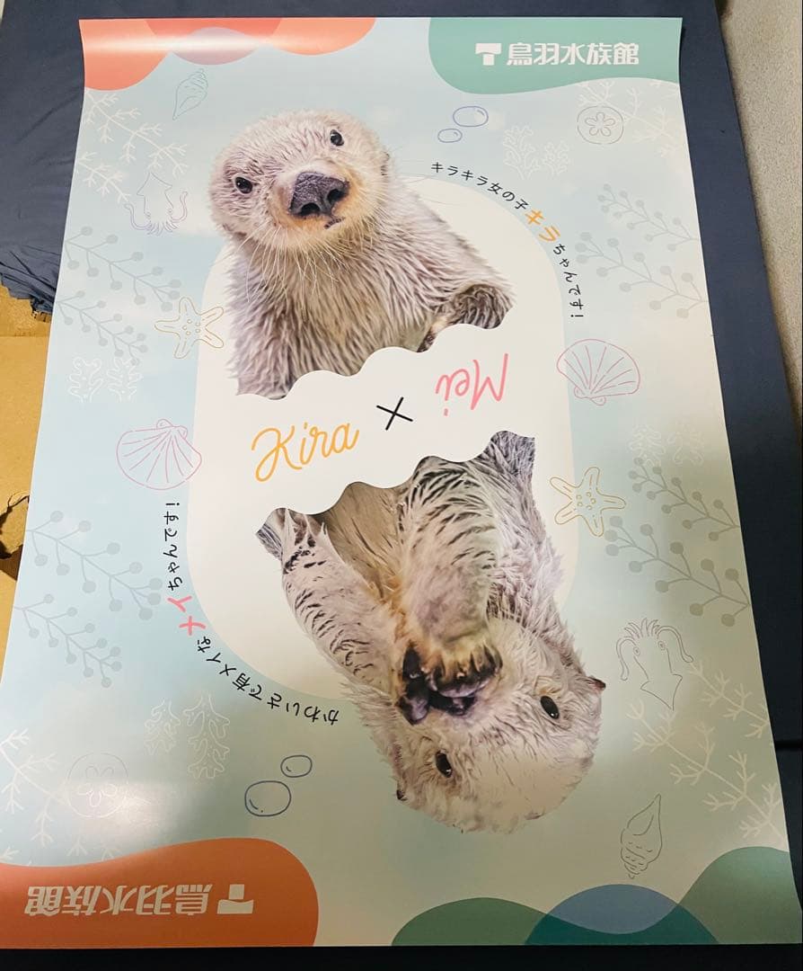 鳥羽水族館⭐️⭐️ポスター⭐️ラッコ⭐️メイ⭐️キラ