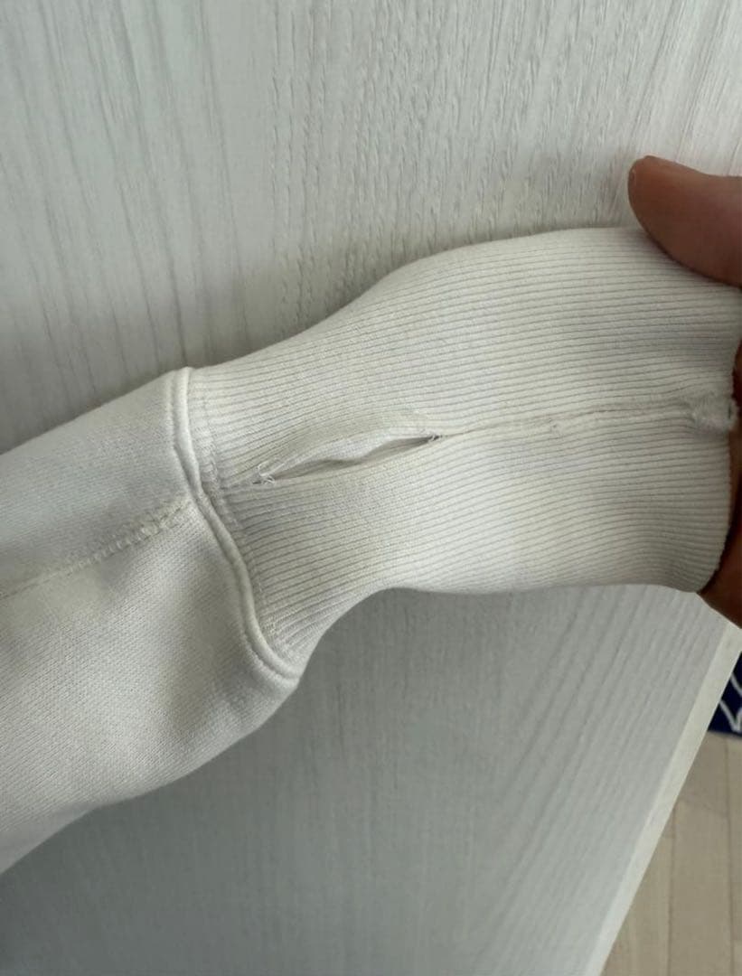 EVISU 刺繍カモメ ジップアップパーカー yamane ヤマネ y2k