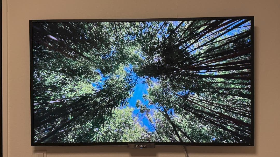 き*ー様 【美品】SONY BRAVIA KDL-46W900A 46インチ液晶