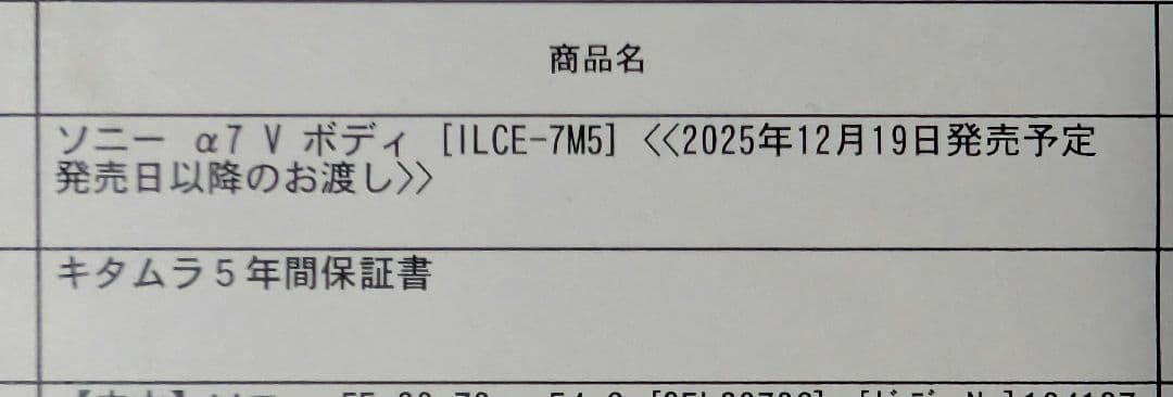 1/2まで出品 SONY α7V ボディ5年保証あり