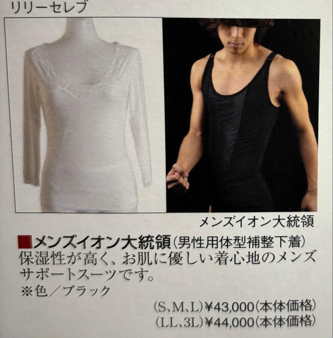 サミットインターナショナル LLサイズ メンズイオン大統領 補正下着 未開封品