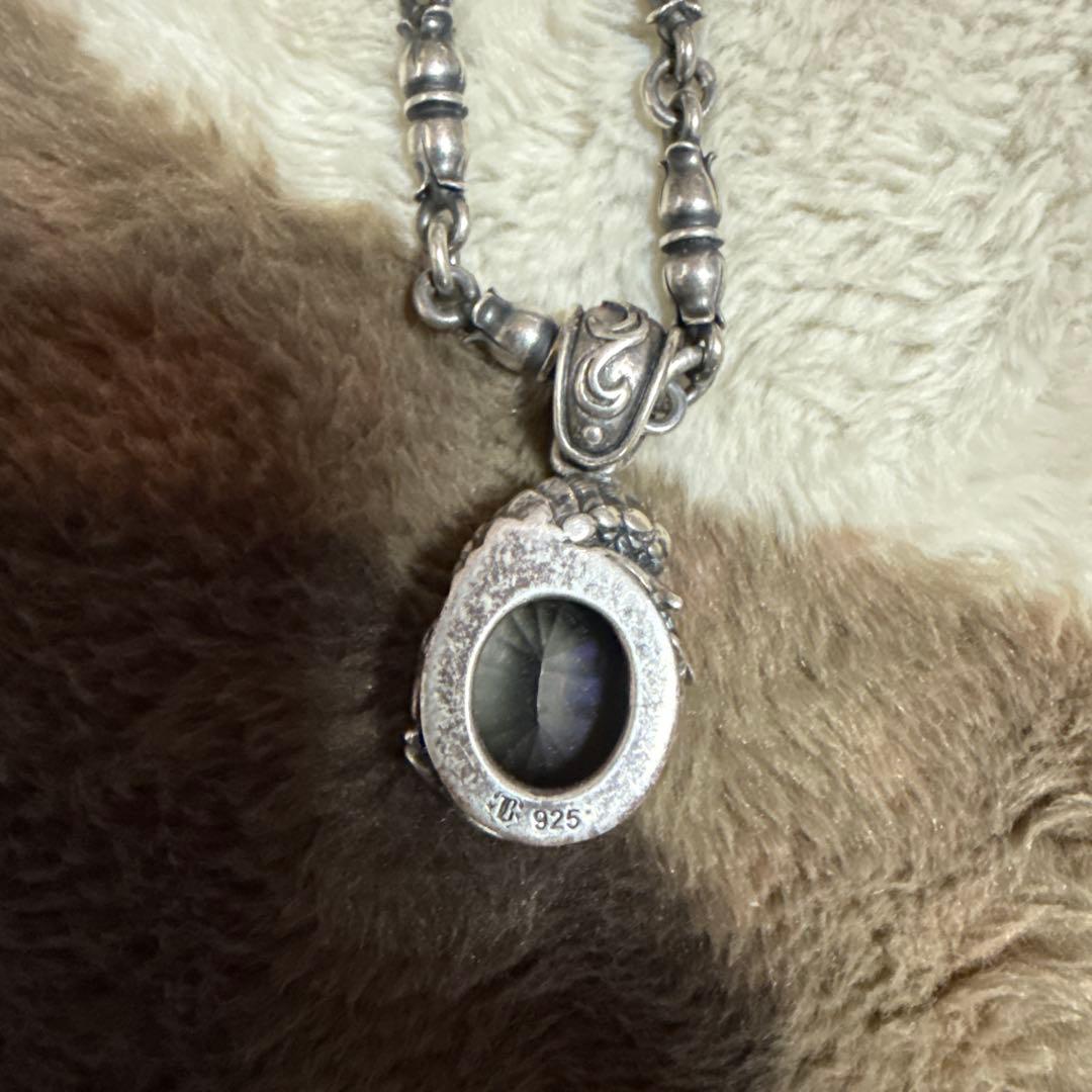 bizarre アクアフォルティス