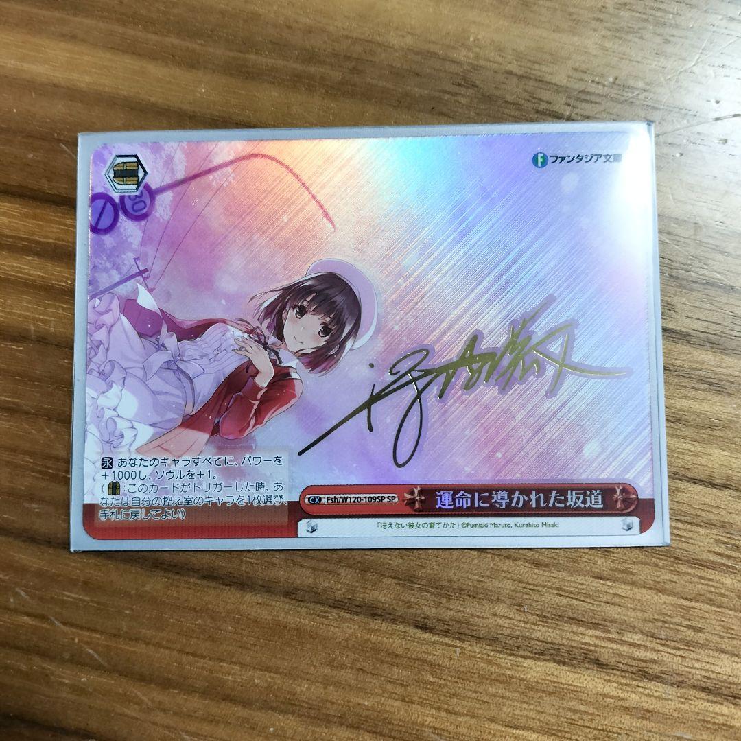 運命に導かれた坂道 SP