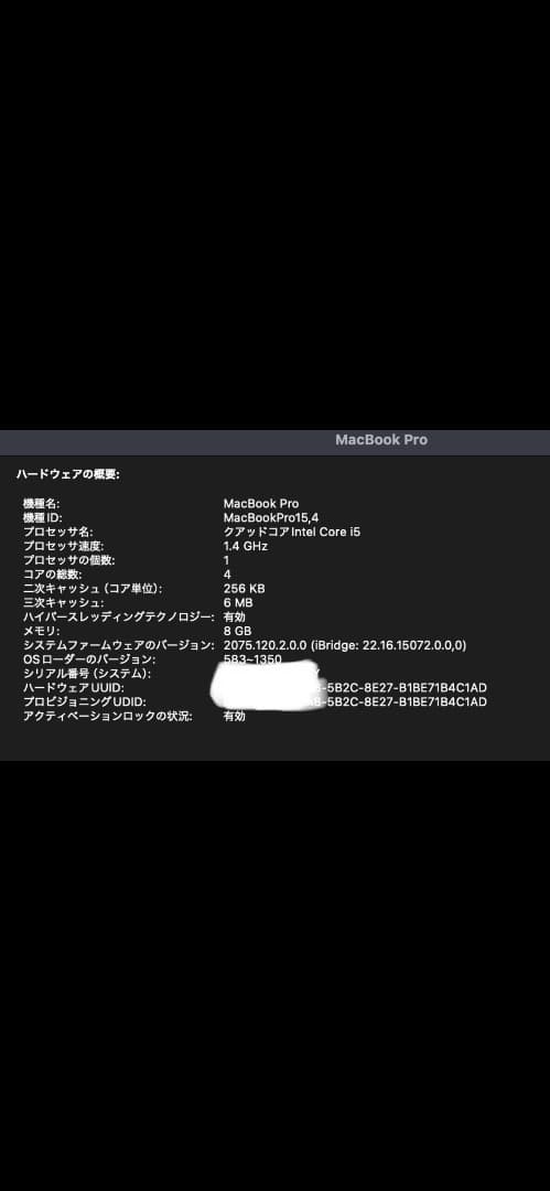 MacBook Pro2019 箱充電器あり