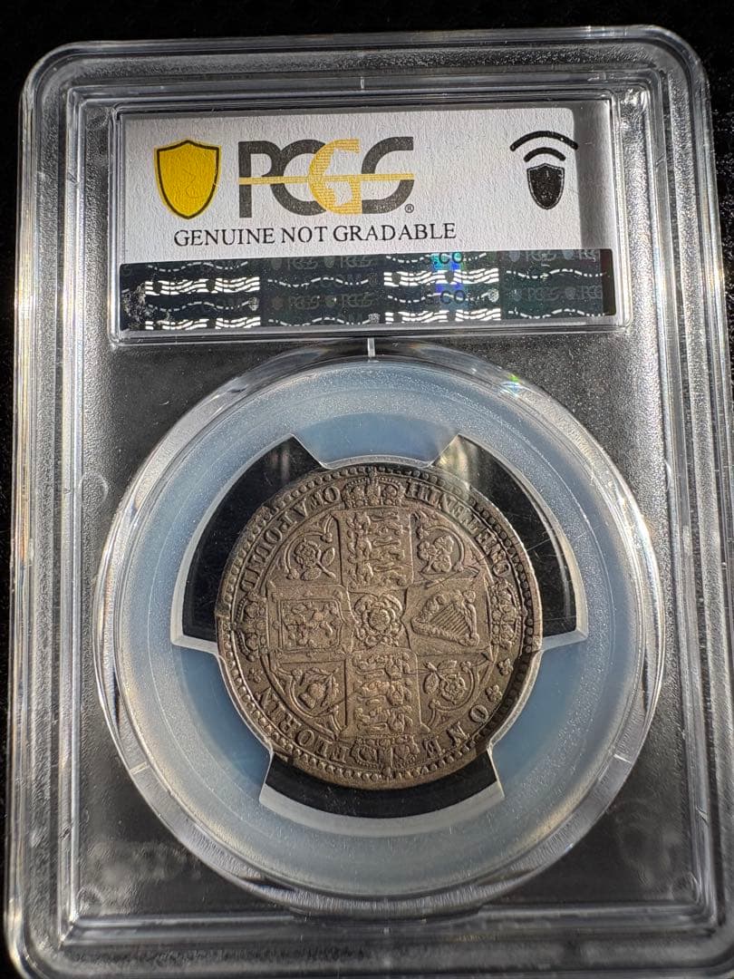 ⭐︎れい⭐︎1849年「ゴッドレス・フローリン（Godless Florin）