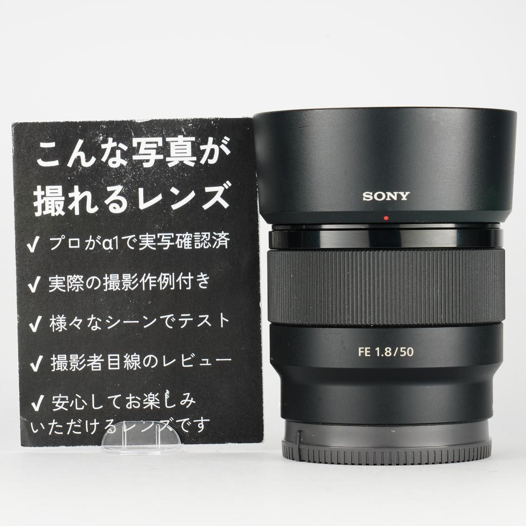 プロ検証済｜SONY FE50mm F1.8 日常を特別に変える 371