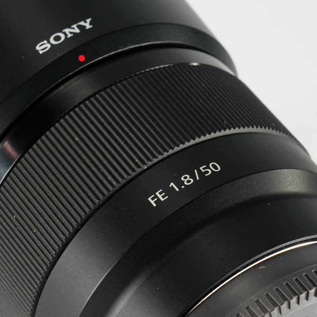 プロ検証済｜SONY FE50mm F1.8 日常を特別に変える 371