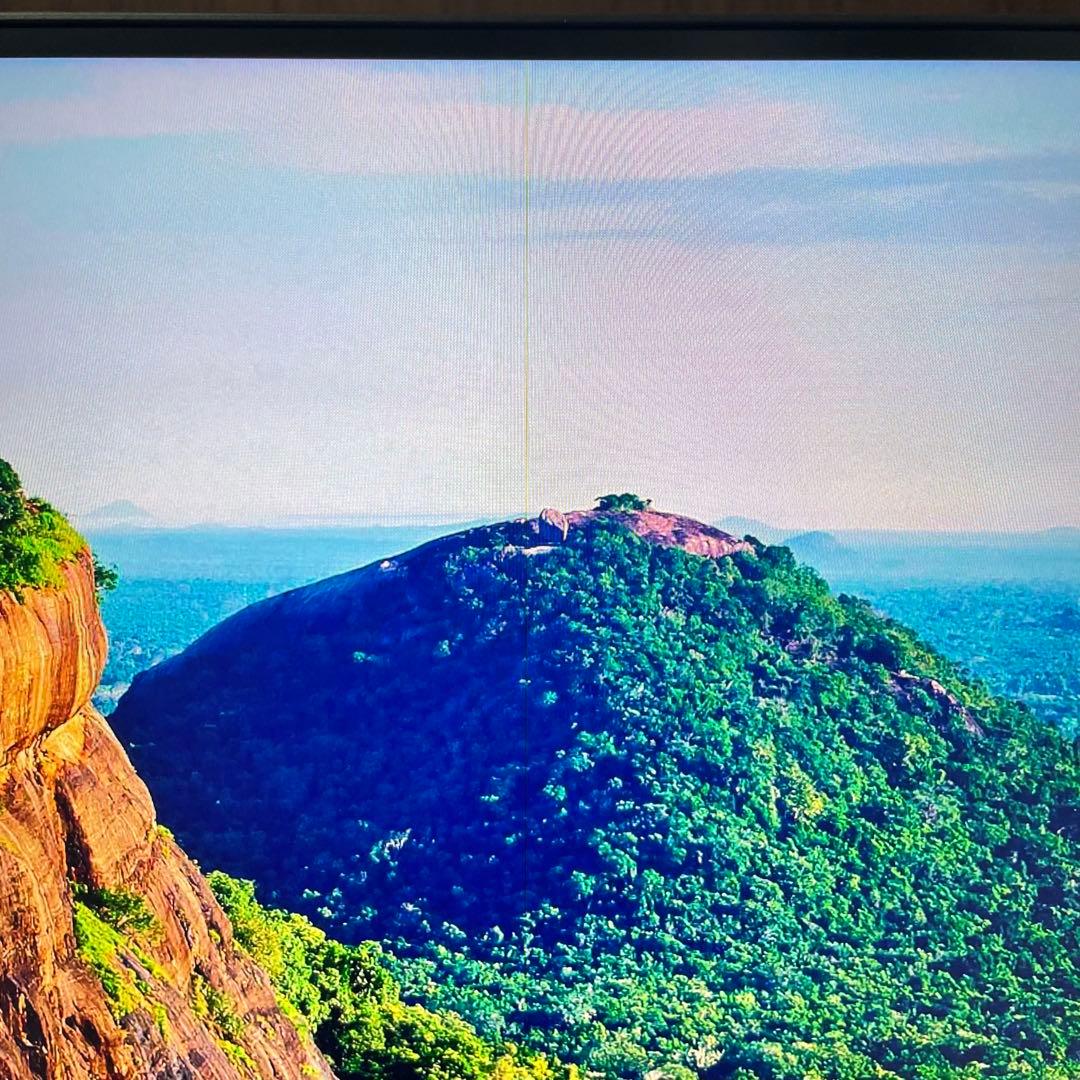 S*D様 BenQ MOBIUZ EX3210U ゲーミングモニター (32イン