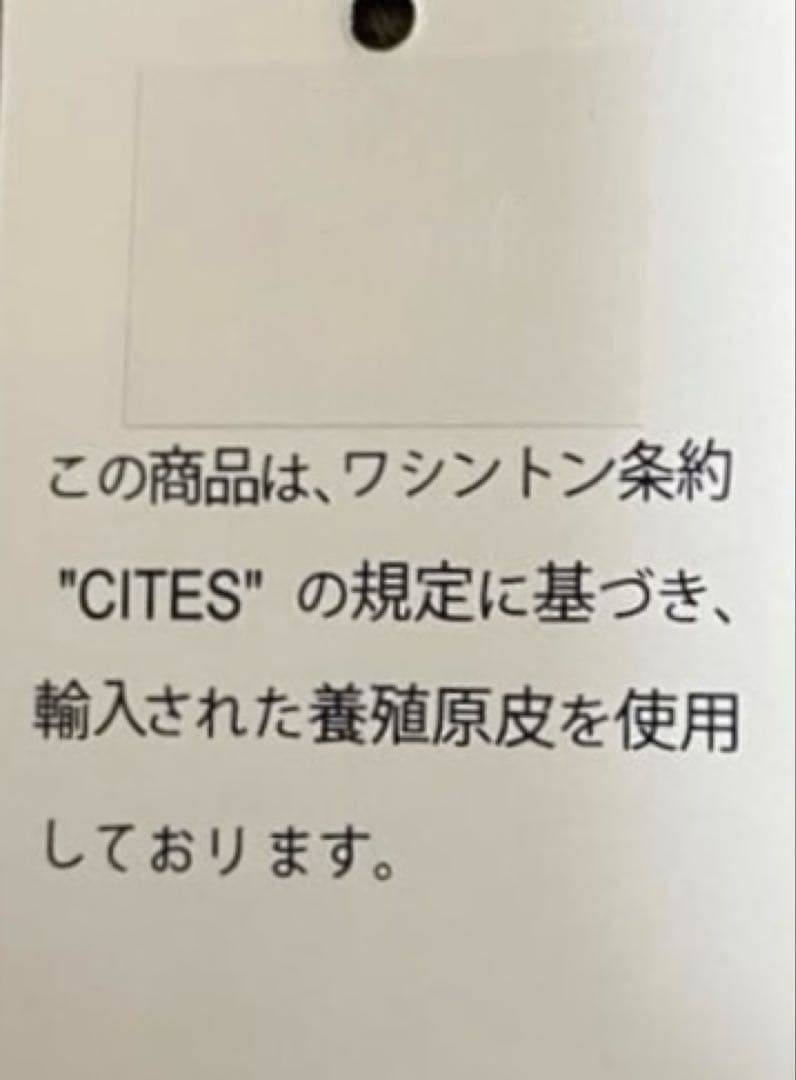 未使用！　アリゲーター　目地染　グリーン　ケース　ミニウォレット　手縫い
