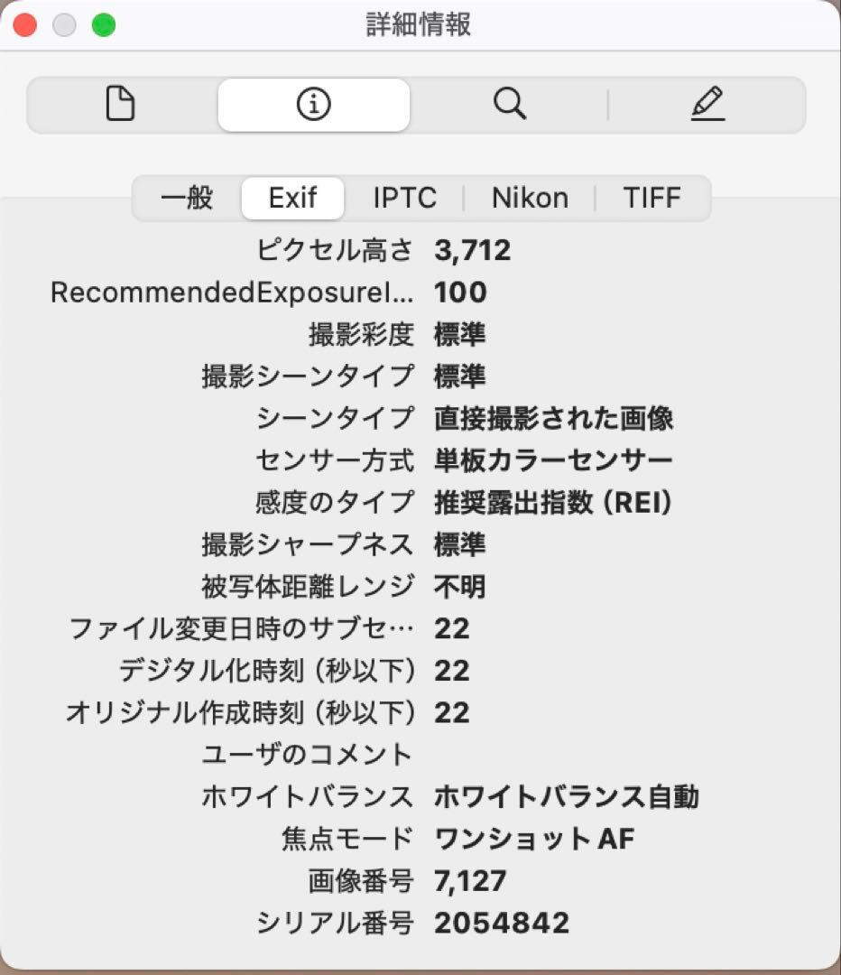 Nikon Z fc ミラーレス一眼 本体