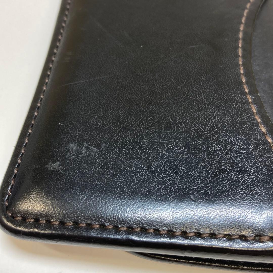 WILDSWANS ワイルドスワンズ ケース　　　　C998