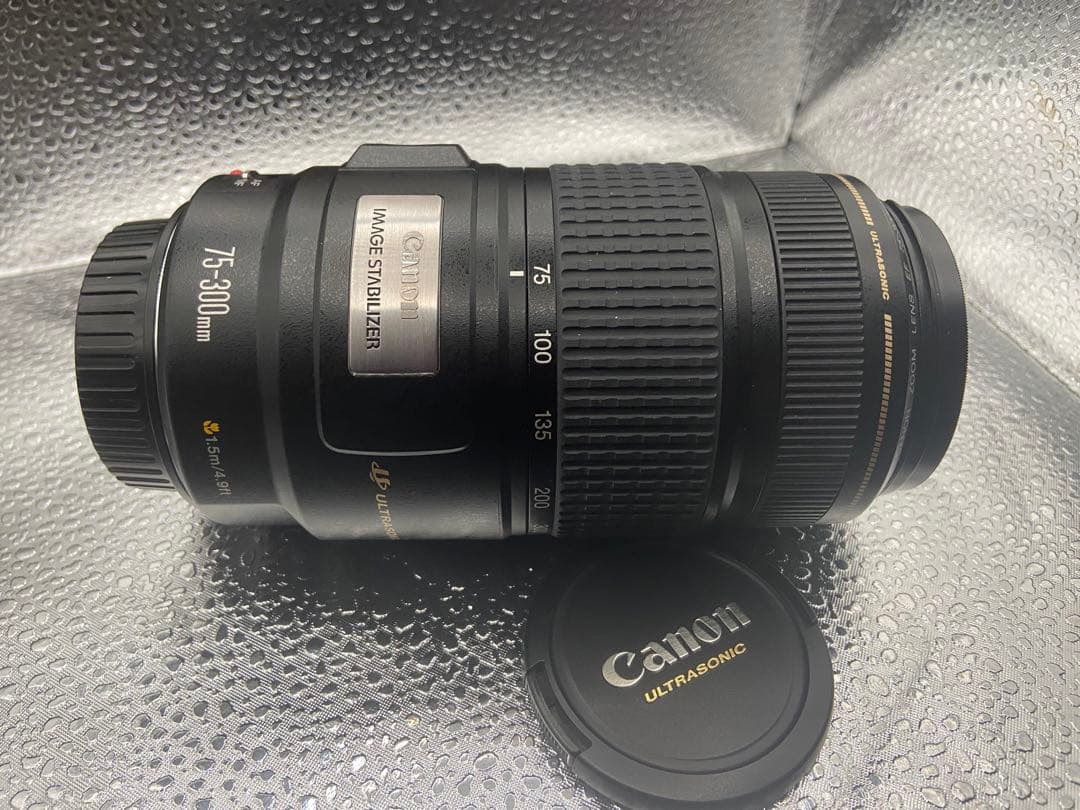 週末値引中！Canon EF 75-300mm f/4-5.6 IS USM