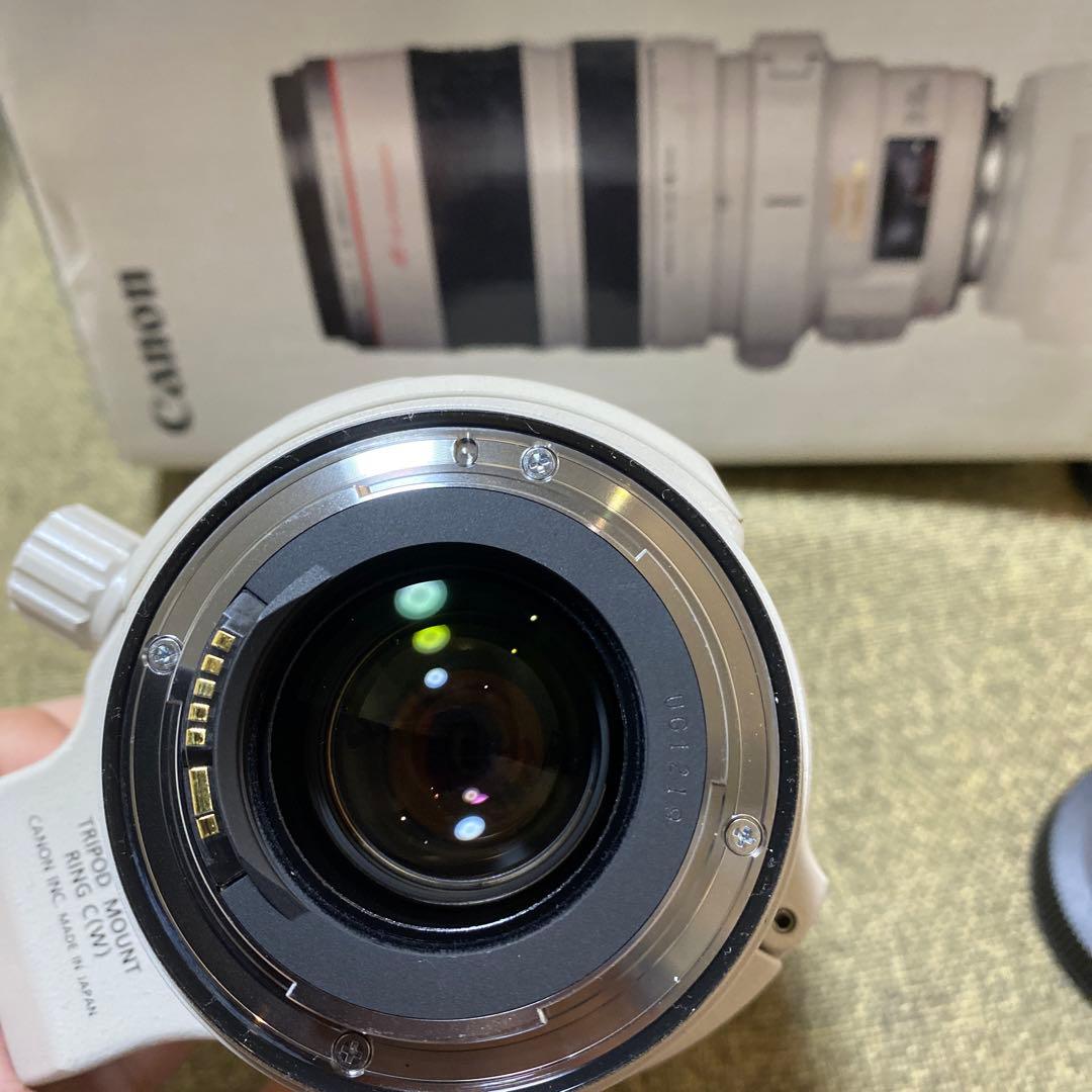 【極美品】CanonカメラレンズEF28-300 F3.5-5.6L ISUSM
