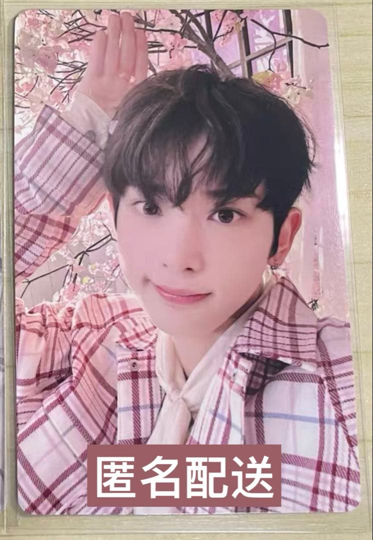 &TEAM Harua ハルア 五月雨 一直娯 サイン会 当選者限定