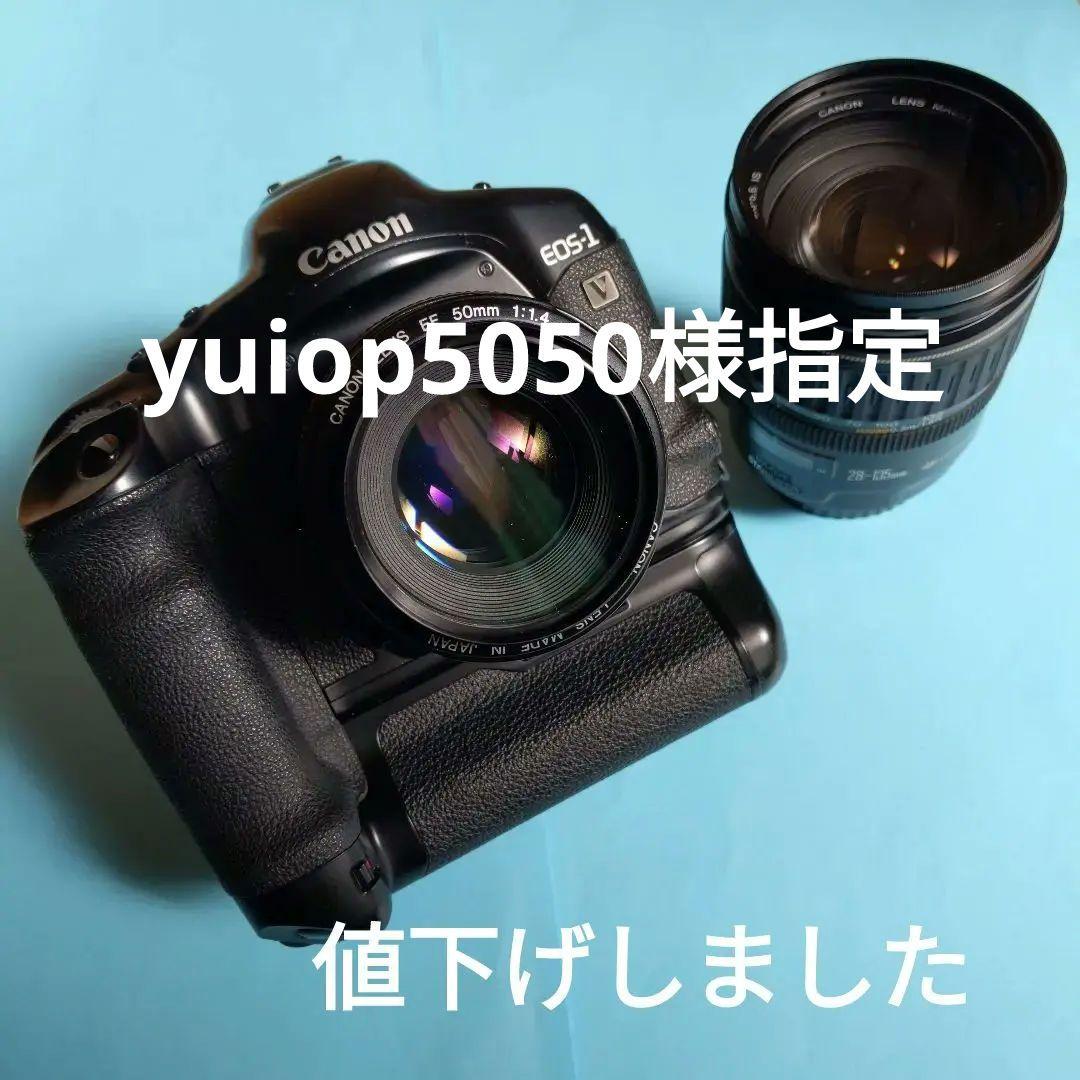Canon EOS-1 V PB-E2 EF50/28-135mm キヤノン