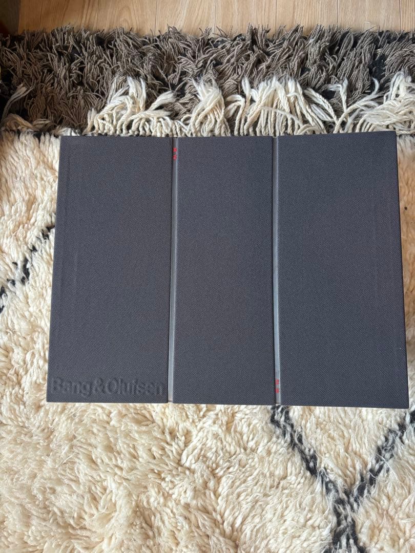 Bang & Olufsen BEOVOX RL35 バング&オルフセン