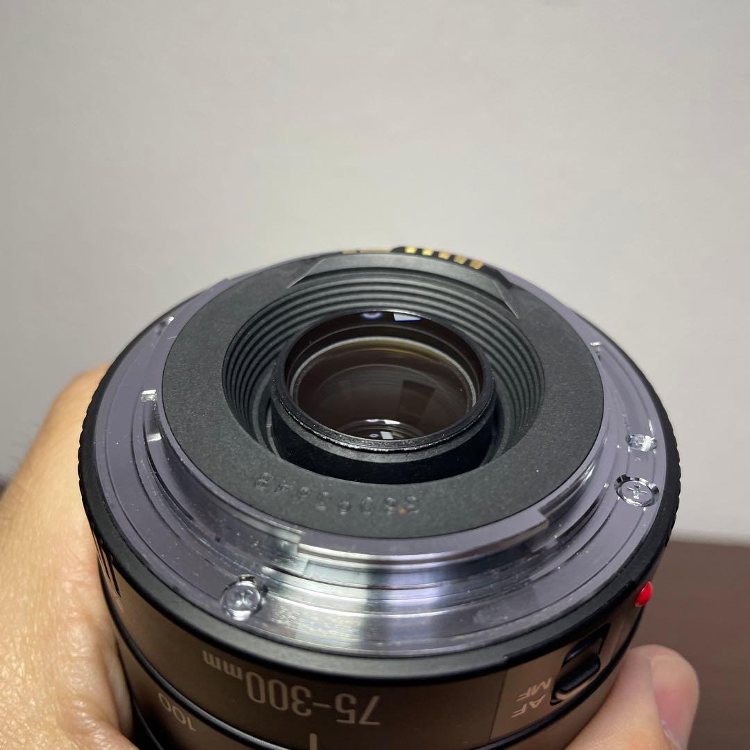 レンズ(ズーム) Canon EF75-300F4-5.6 III USM