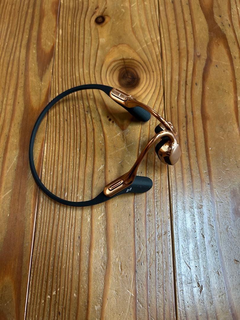 AVIOT WB-E1M 骨伝導 ヘッドセット ブルブームマイク同梱