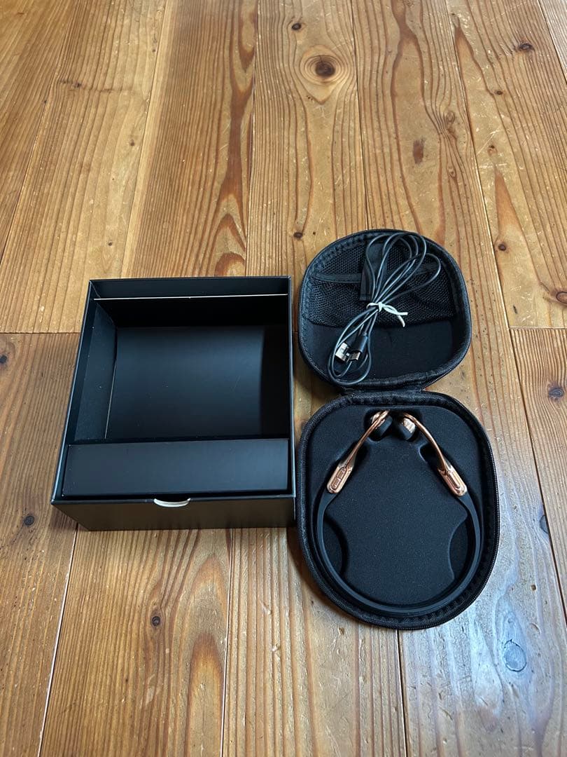 AVIOT WB-E1M 骨伝導 ヘッドセット ブルブームマイク同梱