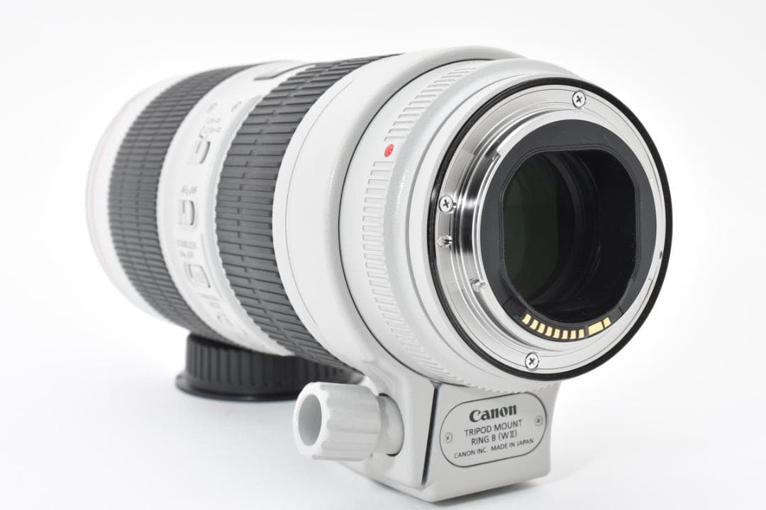 【極美品】Canon EF 70-200mm F2.8L IS III USM