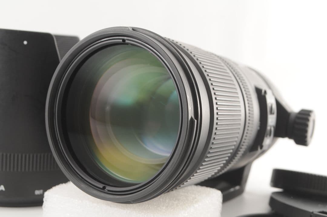 SIGMA 70-200mm F2.8 DG OS HSM ニコン用｜実写OK
