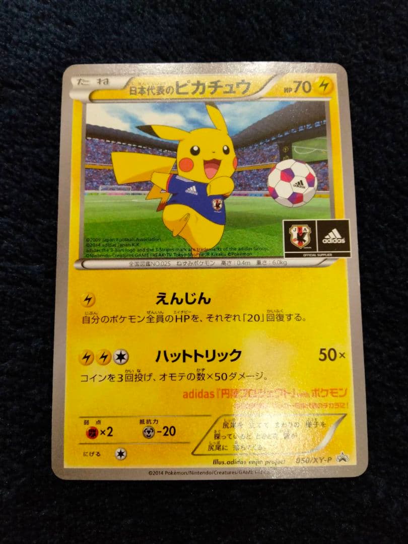 値下げ可能】日本代表のピカチュウ　ポケモンNewモン! Book付録 XYシリ…