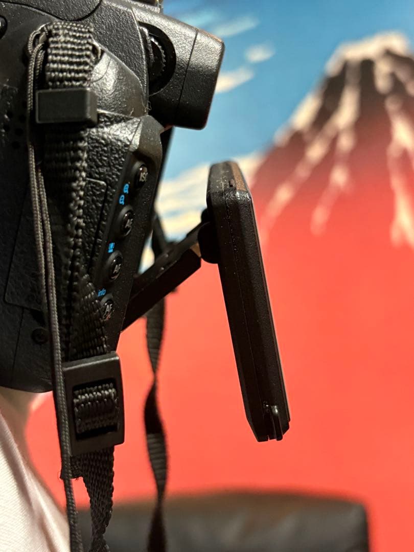 オマケ付　Fujifilm FinePix HS10デジタル一眼レフ 動作確認品