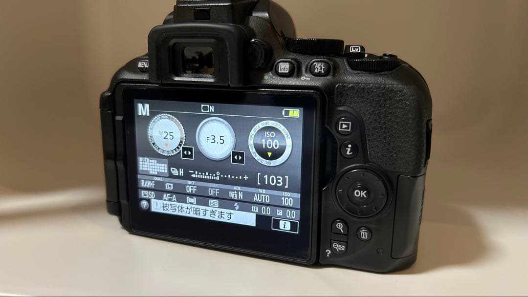 Nikon D5600 レンズ等セット