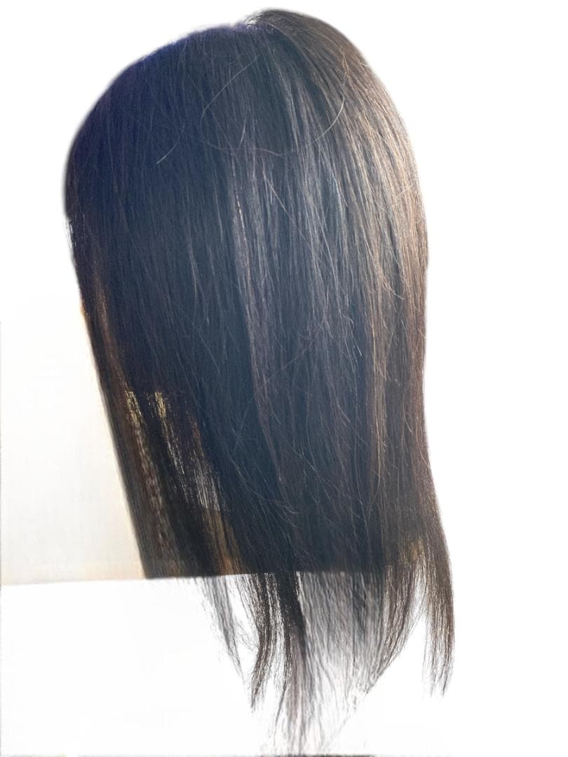 【新品未使用】美容師カットウィッグ練習用　4体　人毛90％