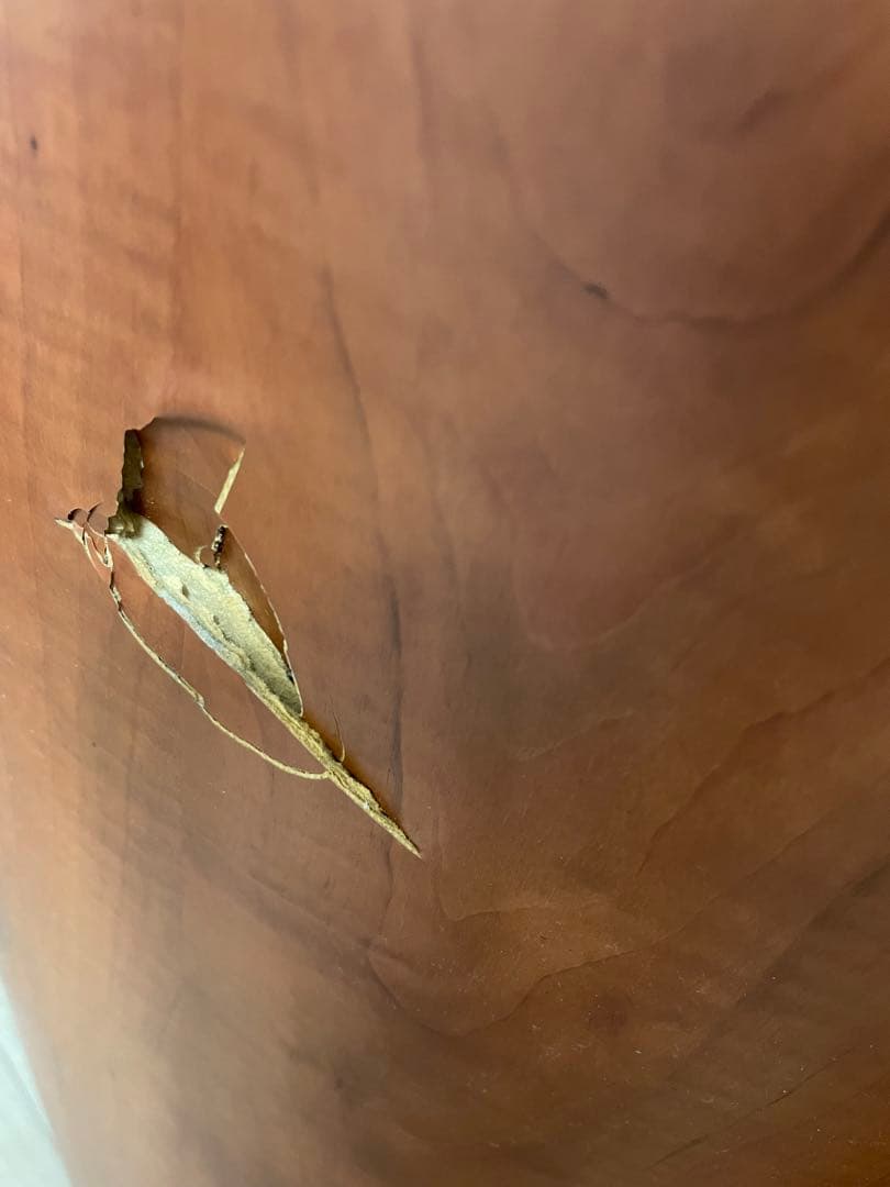 送料込 KEF iQ9 トールボーイ　スピーカー