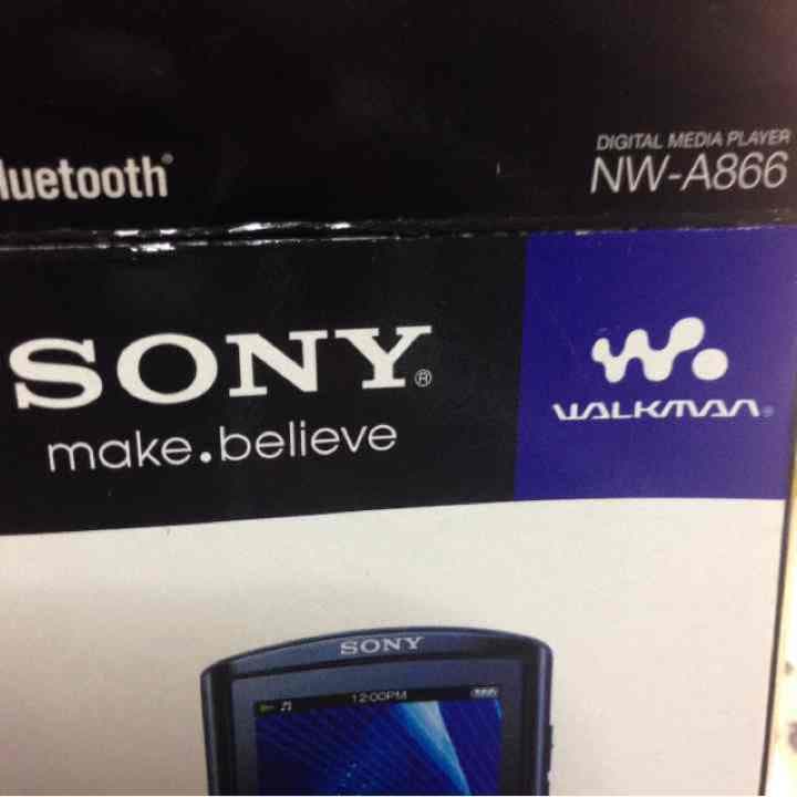 ウォークマン29GB