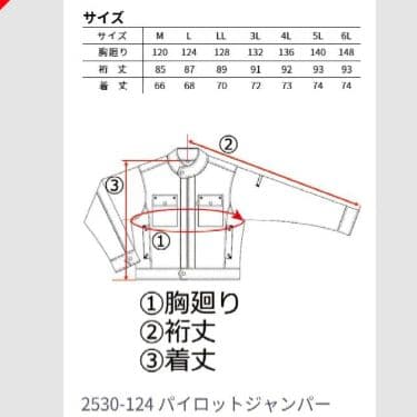 寅壱!ドカジャン　LL　花紺