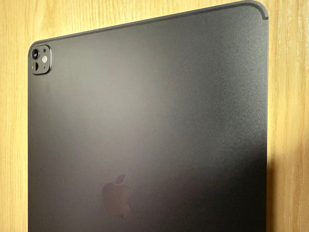 Apple iPad Pro M4 13 256G スペースグレー Wi-Fi