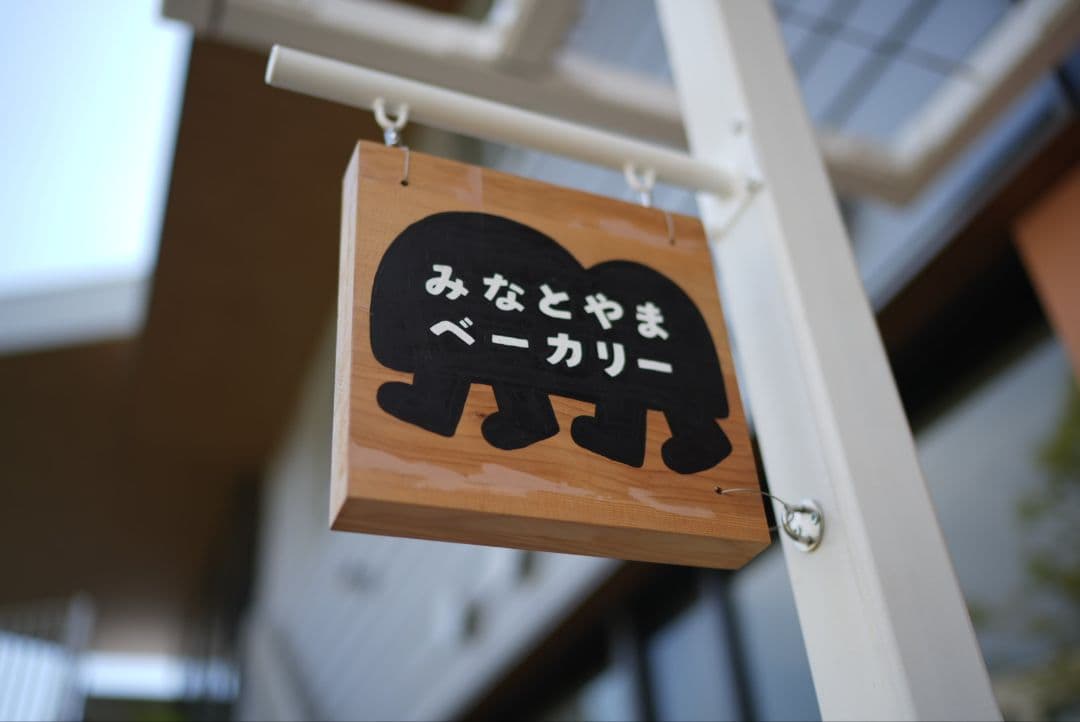 レンズ(単焦点) Distagon T* FE 35mm F1.4 ZA SEL35F14Z