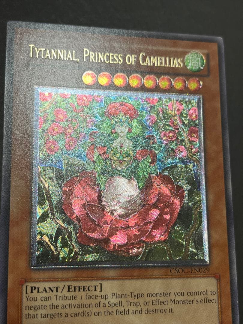 【未使用新品】椿姫ティタニアル レリーフ EU版 CSOC-EN029